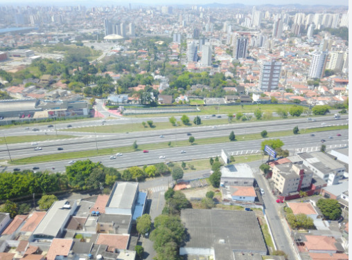 Floricultura São Bernardo do Campo - SP